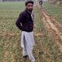 @mujahidshah2466