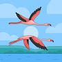 @SurprisedFlamingoBirds-bx4gc