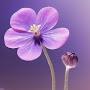 @faridalashkari4226