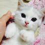 @junny3741