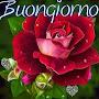 @NINA-pd7qs