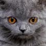 @user-rr2ou9rf5o