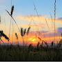 @GoldenHorizon2025
