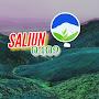 Saliun 0409