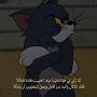 @alhabib_o
