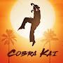 @Edit-cobra_kai