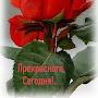 @Галина-я8з6б