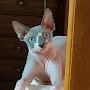 @АнастасияКомиссар-ь8ц