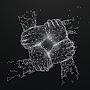 @MindMasteryHub-ri3t