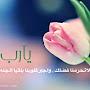 @habibamoslma1478