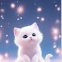 @SakibHashan