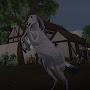 @SpirtTheTombHoofX-X