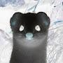 @ferretmonger0236