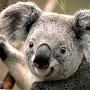 @fatinclaretina3300