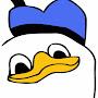 @HaviHir