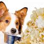 Popcorn Doggies