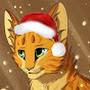 @FIRESTAR_TOP48