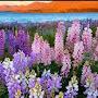 @mahiraashraf349
