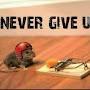 @NeverGiveUp-ib3xb