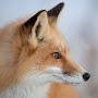 @СергейСтельмаченок-ч5ц