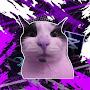 @pacicka_the_cat
