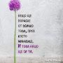 @inspirationeveryday5515