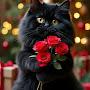 @Kats_brooches