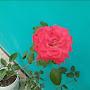 @samy64-j2g