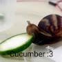 @cucumbermuncher-g9n