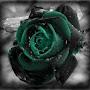 @RamziRamzi-rs4kt