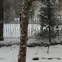 @nurlanhesenov8138