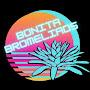 Bonita Bromeliads 