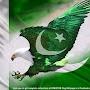 @pakwatan8510