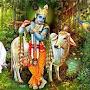 @amreshyadav8469