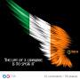 @noamfinnegan8663