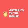 @Animals_In_The_House1