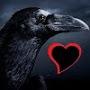Raven Blackheart
