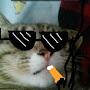 @catwithshades1869