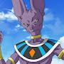 @beerus4271