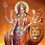 @anubhutimorya1540