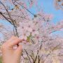 @원쓰원쓰-z1g
