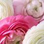 @hadeelowais4960