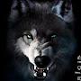 @Wild_DemonS8k