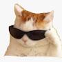 @Kitocattoman