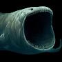 @bloopy_the_sea_monster