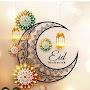 @syedasyeda7493