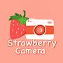 Strawberry Camera 