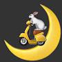 @moonbikerabbit