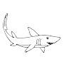 @Great_White_Shark72