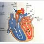 @Biostudent_7